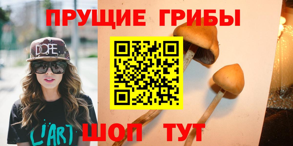 Сергиев Посад  Галлюциногенные грибы Cubensis  где купить наркоту  Вход с VPN 